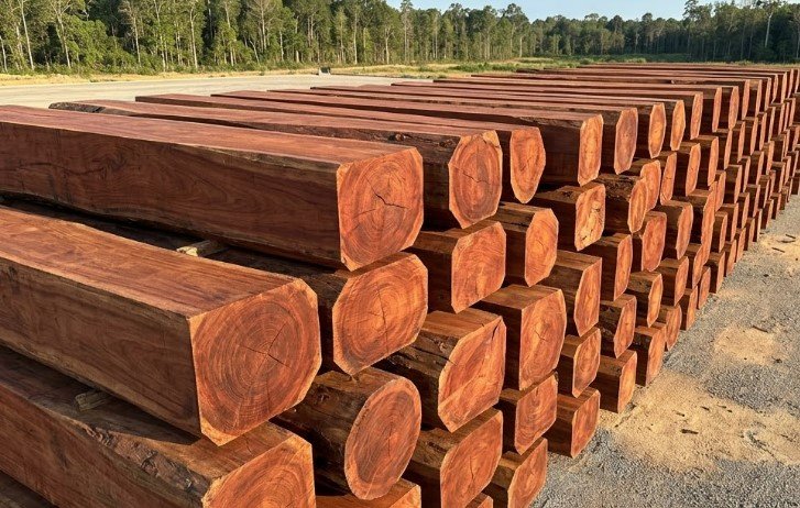 Gỗ căm xe là gì? Đặc điểm và ứng dụng - Đồ Gỗ Thái Bình TPHC